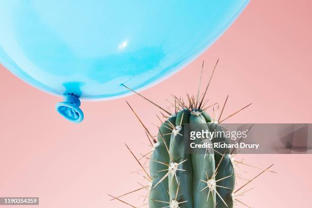balloon flying too close to cactus - blowing up balloon stock-fotos und bilder