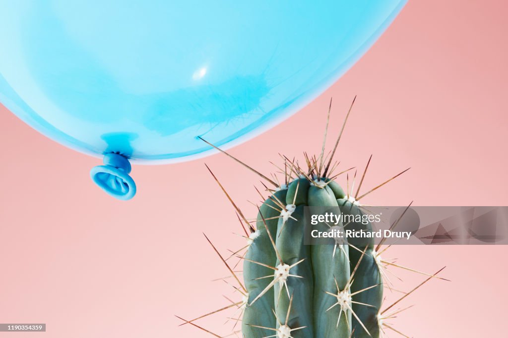 Balloon flying too close to cactus