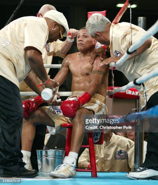 Fernando Vargas,takes a deep breath in between rounds during a 10-Round Junior Middleweight bout against Fitz Vnderpool at the Grand Olympic...