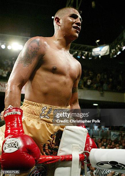 Fernando Vargas celebrates after winning a 10-Round Junior Middleweight bout against Fitz Vanderpool at the Grand Olympic Auditorium in Los Angeles,...