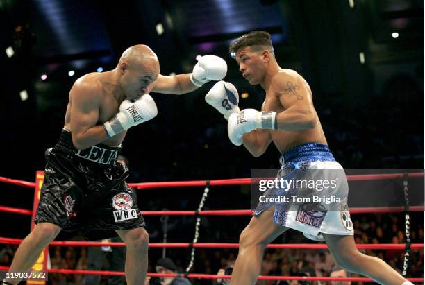 Arturo Gatti and Jesse James Leija during the fight on January 29, 2005 at Boardwalk Hall in Atlantic City.