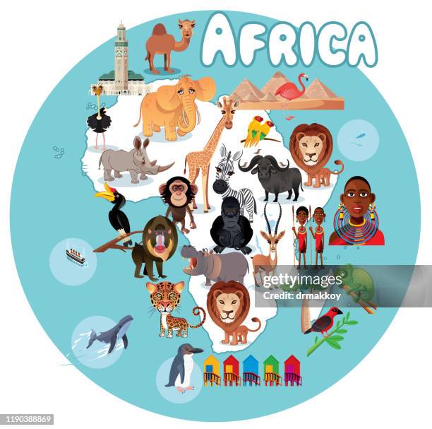 africa travel - rhinoceros hornbill stock illustrations