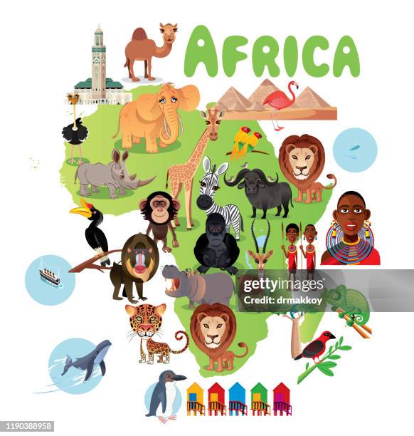 africa map - rhinoceros hornbill stock illustrations