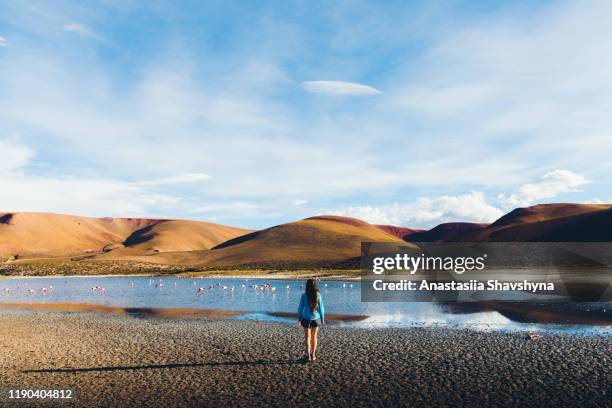 frau genießt den blick auf schönen see, berge und gruppe von flamingos in atacama wüste - antofagasta region stock-fotos und bilder