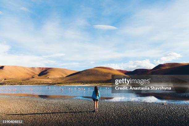 mujer disfrutando de la vista de hermoso lago, montañas y grupo de flamencos en el desierto de atacama - antofagasta fotografías e imágenes de stock
