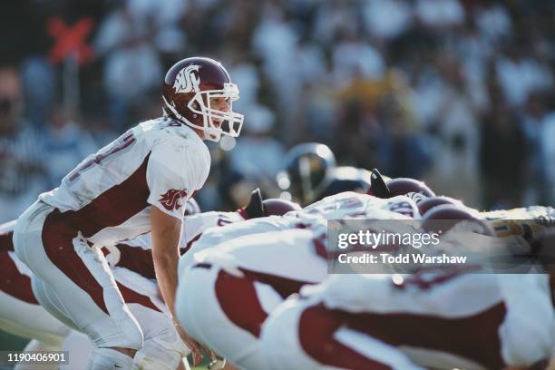 Jason Gesser, Quarterback for the Washington State Cougars calls the play during the NCAA Big 12 college football game against the University of...