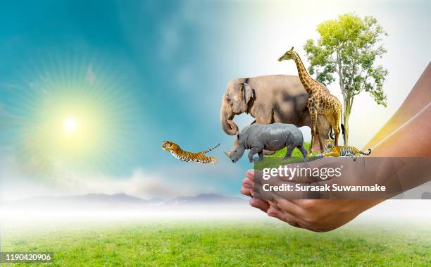 37,670 World Animal Day Photos and Premium High Res Pictures - Getty Images 37,670 World Animal Day Photos and Premium High Res Pictures - Getty Images