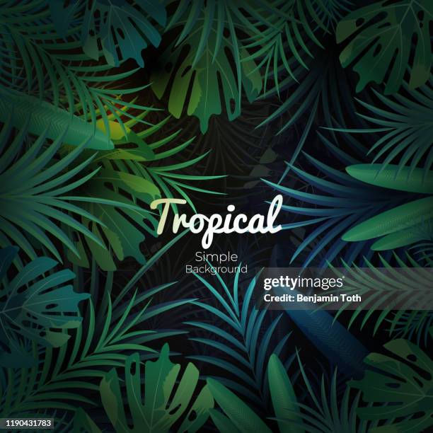 green tropical floral banner on dark background - monstera stock illustrations