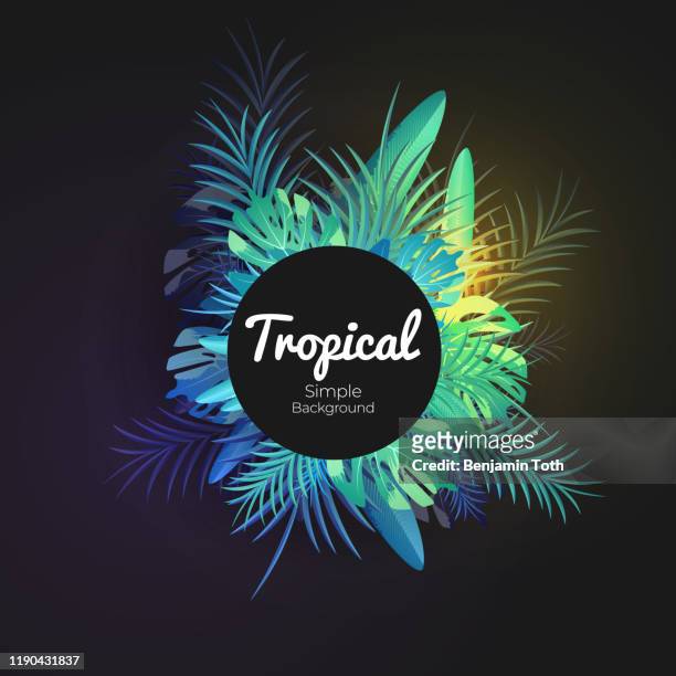 ilustraciones, imágenes clip art, dibujos animados e iconos de stock de bandera floral tropical verde sobre fondo negro - árbol tropical
