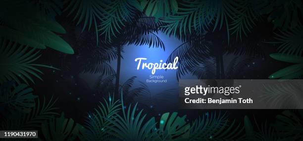 grüne tropische blumenhintergrund in dunklen dschungel szene hintergrund - rainforest stock-grafiken, -clipart, -cartoons und -symbole