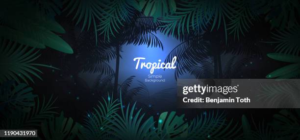 ilustrações de stock, clip art, desenhos animados e ícones de green tropical floral background in dark jungle scene background - floresta pluvial