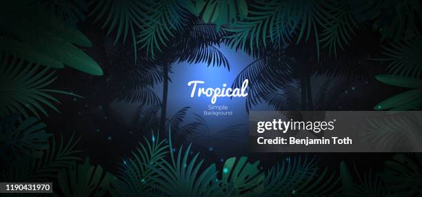 green tropical floral background in dark jungle scene background - dark stock illustrations