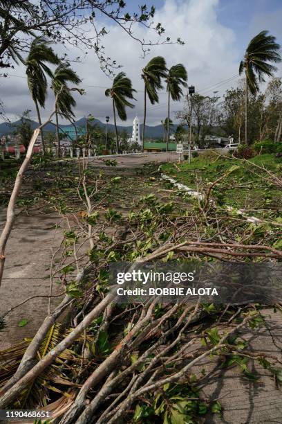 Uprooted trees are seen on a road in the aftermath of Typhoon Phanfone in Tacloban, Leyte province in the central Philippines on December 25, 2019. -...