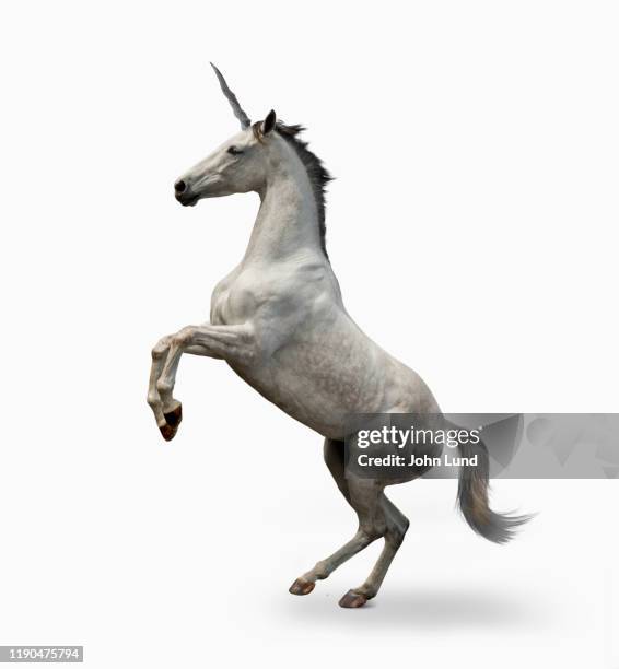 unicorn on white - rearing up fotografías e imágenes de stock