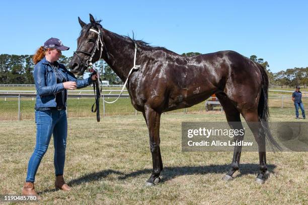 Pantera Nera after winning the Pat Hassett Memorial BM52 Handicap at Penshurst Racecourse on December 26, 2019 in Penshurst, Australia.