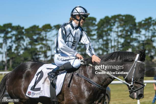 Pantera Nera ridden by Melissa Julius returns to scale after winning the Pat Hassett Memorial BM52 Handicap at Penshurst Racecourse on December 26,...