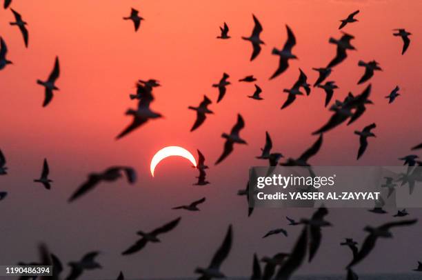 This picture taken early on December 26, 2019 shows seagulls flying above a beach in Kuwait City during the partial solar eclipse event.