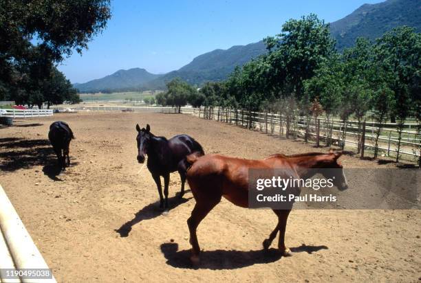 Sylvester Stallone in the late 1986 was obsessed with Horses and Polo and purchased the White Eagle Ranch in Hidden Valley California, it has a polo...
