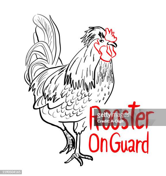 guard rooster - private property stock illustrations
