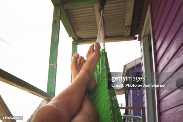 a man chilling in a hammock - belize stock pictures, royalty-free photos & images