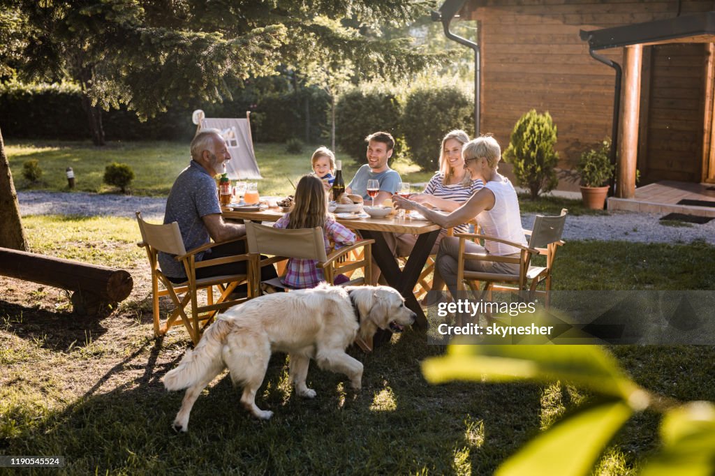 Smiling multi-generation family communicating during picnic lunch in the backyard.