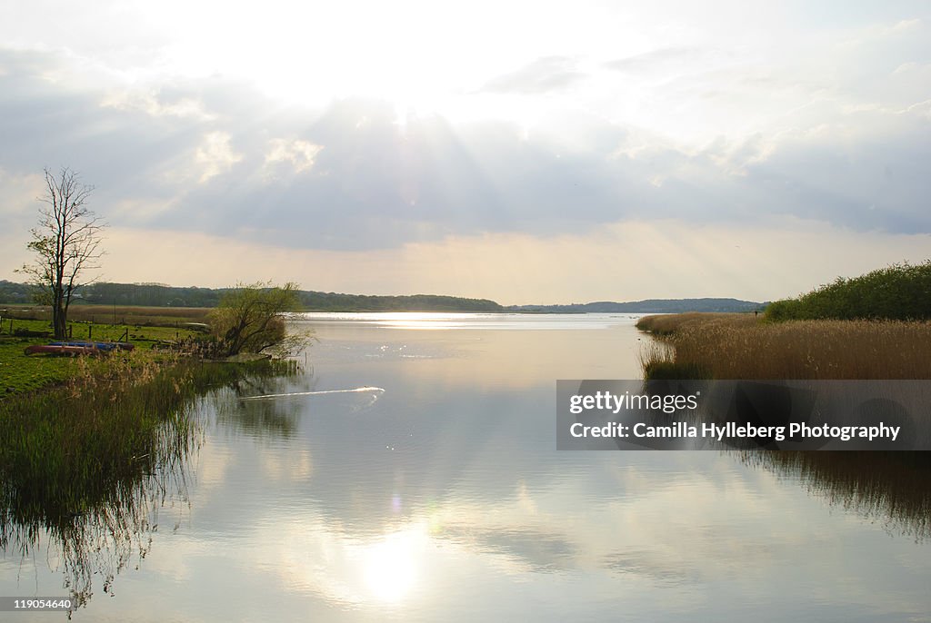 tidligere Dårligt humør Botanik Brabrand Lake Aarhus High-Res Stock Photo - Getty Images