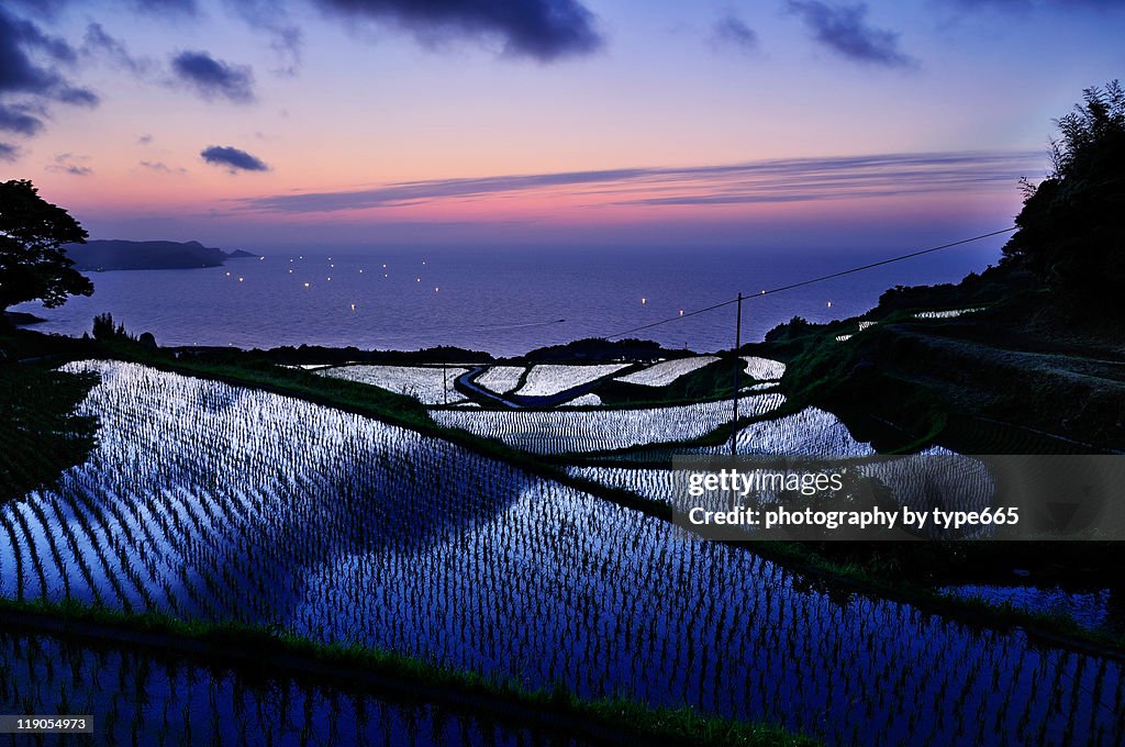 Yuya rice terrace