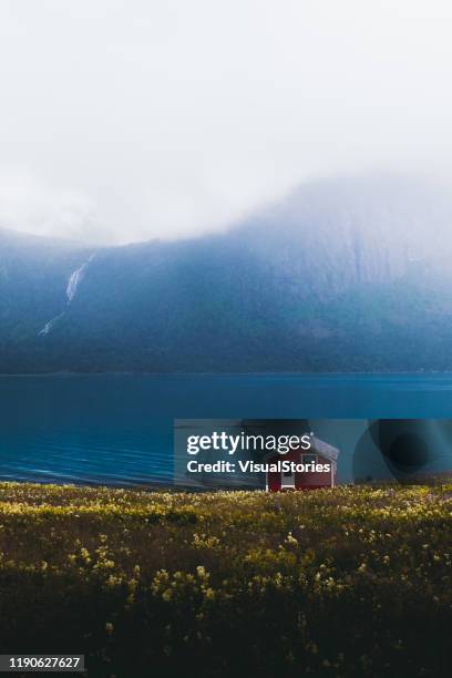 solitaria casa rossa abbandonata sul prato con vista sulle montagne e cascata in norvegia - olden foto e immagini stock