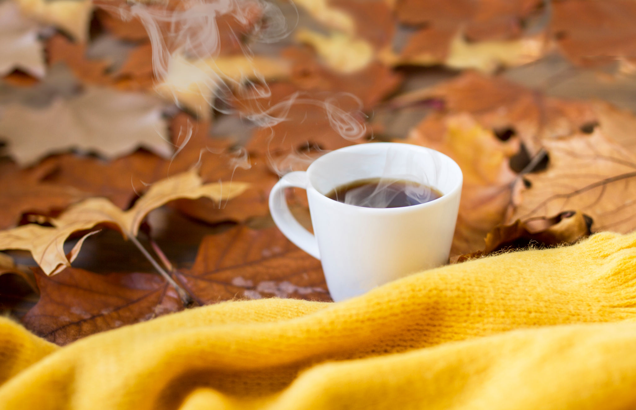 autumn smoking setup