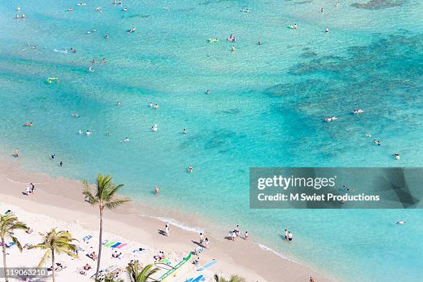 waikiki beach, hawaii - oahu stock-fotos und bilder