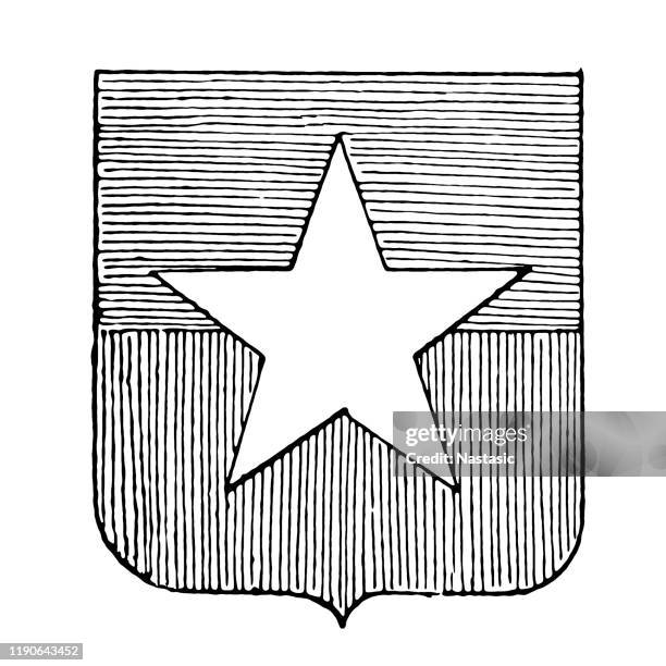 chile heraldry, coat of arms - chile stock illustrations