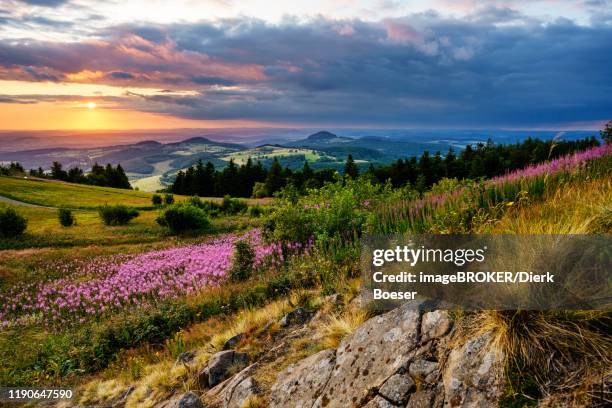 view from the wasserkuppe to the hilly landscape at sunset, hessian rhoen nature park, hesse, germany - rhön stock-fotos und bilder