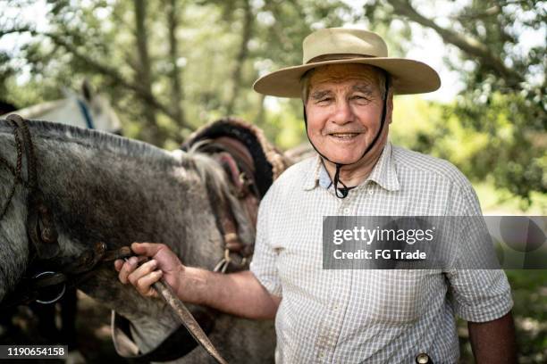 portrait of a gaucho holding a horse - gaucho stock pictures, royalty-free photos & images