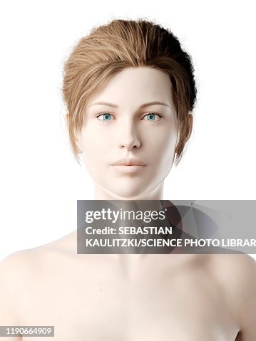 Female head, illustration Female head, illustration