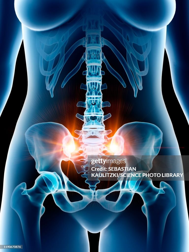 Female pelvic bones, illustration