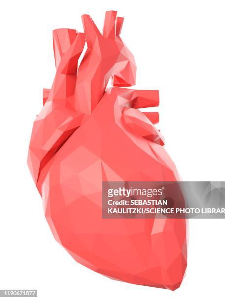 heart, illustration - human heart stock illustrations