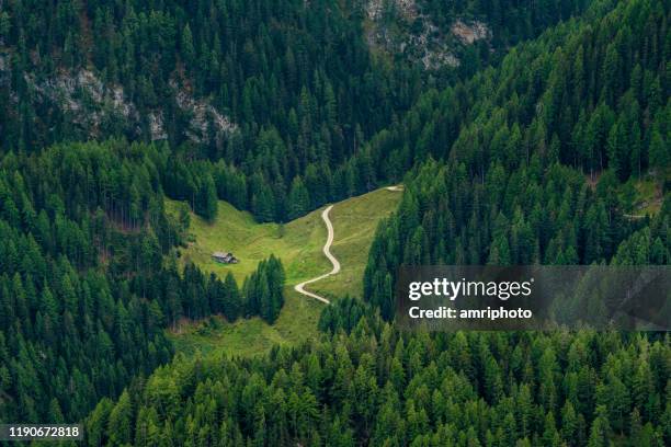 einspurige landstraße in der alpenlandschaft - single lane road stock-fotos und bilder