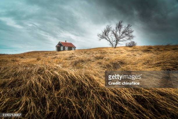an old abandoned house - broken tree stock pictures, royalty-free photos & images
