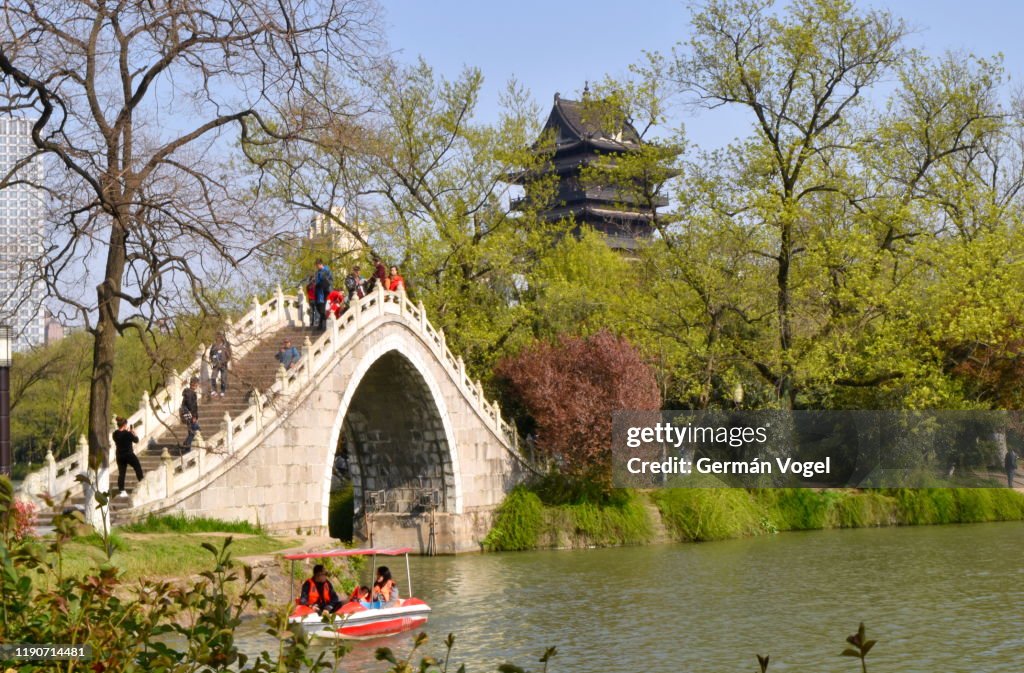 Peaceful Chinese garden by pond with moon bridge and pagoda, Hefei, China
