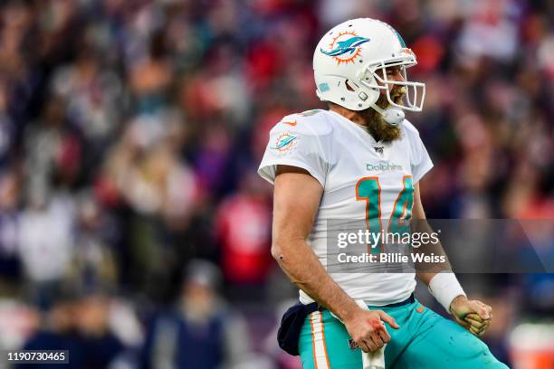 Ryan Fitzpatrick of the Miami Dolphins reacts after throwing the game winning touchdown pass during the fourth quarter of a game against the New...