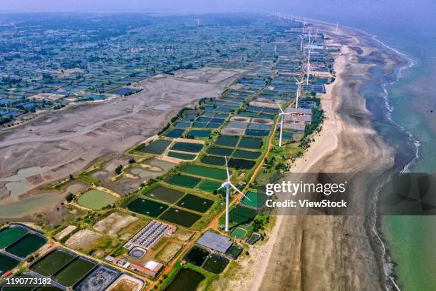 zhanjiang, guangdong xuwen windmills matrix - zhanjiang - fotografias e filmes do acervo