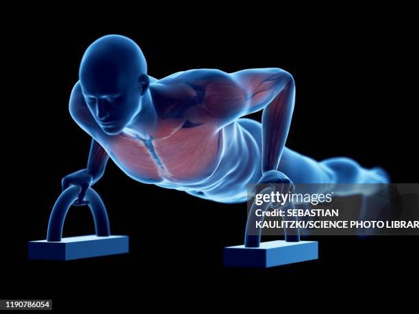 man doing push-ups, illustration - major stock-grafiken, -clipart, -cartoons und -symbole