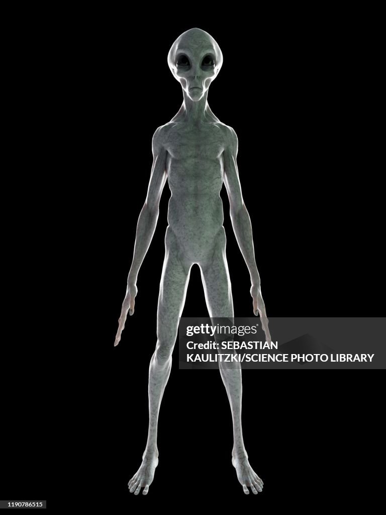 Grey Alien Full Body