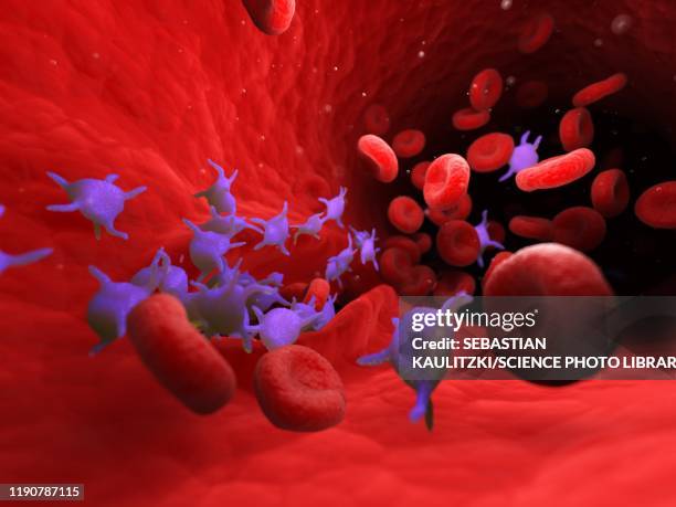 active blood platelets, illustration - platelet stock-grafiken, -clipart, -cartoons und -symbole