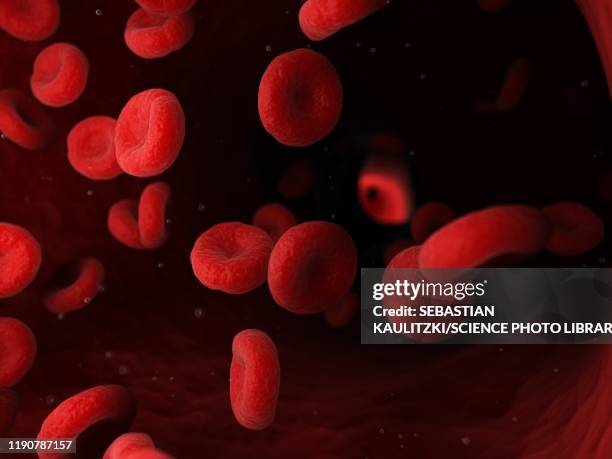 blood cells, illustration - rotes blutkörperchen stock-grafiken, -clipart, -cartoons und -symbole