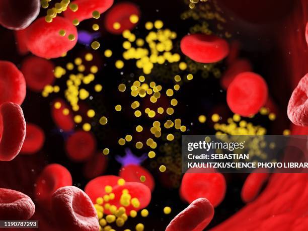 illustrazioni stock, clip art, cartoni animati e icone di tendenza di fat in blood vessels, illustration - lipoproteina a bassa densità