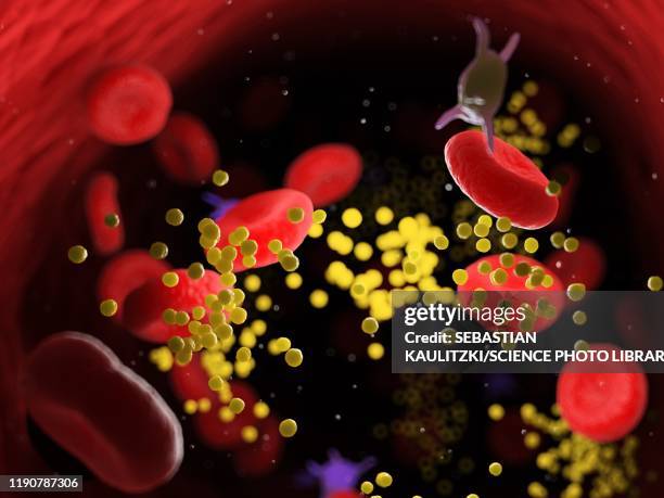 fat in blood vessels, illustration - ldl cholesterol stock illustrations