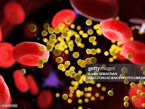stockillustraties, clipart, cartoons en iconen met fat in blood vessels, illustration - cholesterol