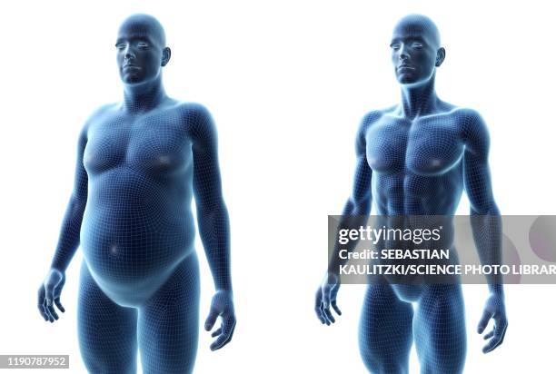 ilustrações de stock, clip art, desenhos animados e ícones de comparison of a fit and obese male, illustration - pancas