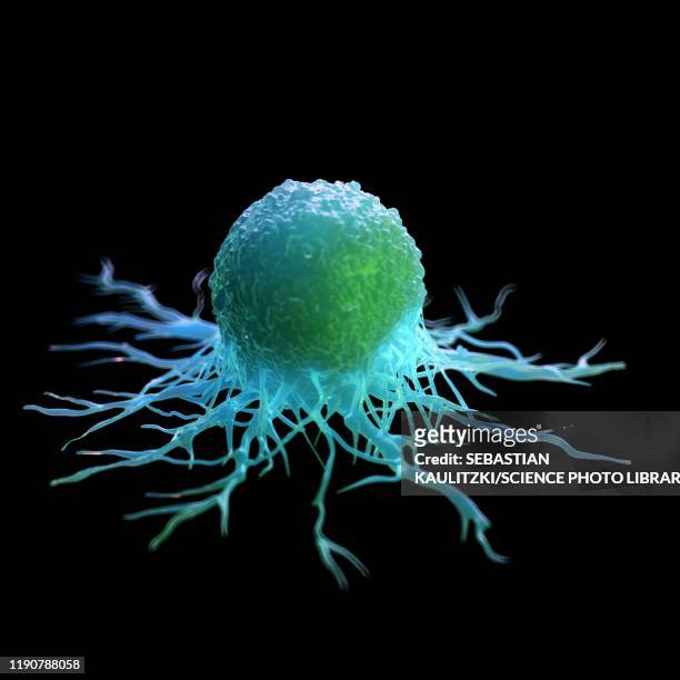 cancer cell, illustration - metastatic tumour stock illustrations